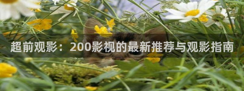 奇米在线观看免费视频：超前观影：200影视的最新推荐与观影指南