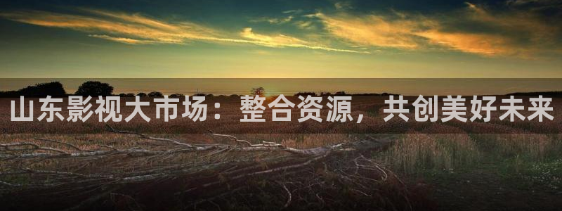 奇米在线影视：山东影视大市场：整合资源，共创美好未来