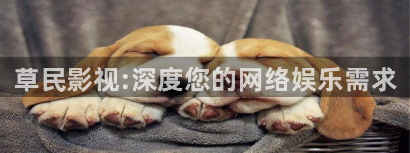 奇米在线精品：草民影视:深度您的网络娱乐需求