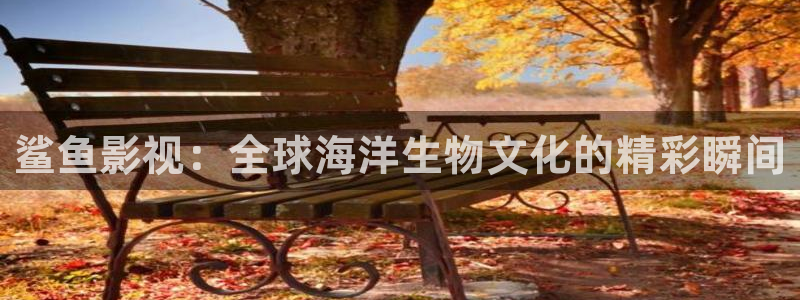 奇米在线观看视频：鲨鱼影视：全球海洋生物文化的精彩瞬间