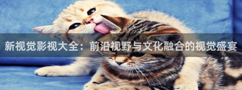 奇米在线播放：新视觉影视大全：前沿视野与文化融合的视觉盛宴