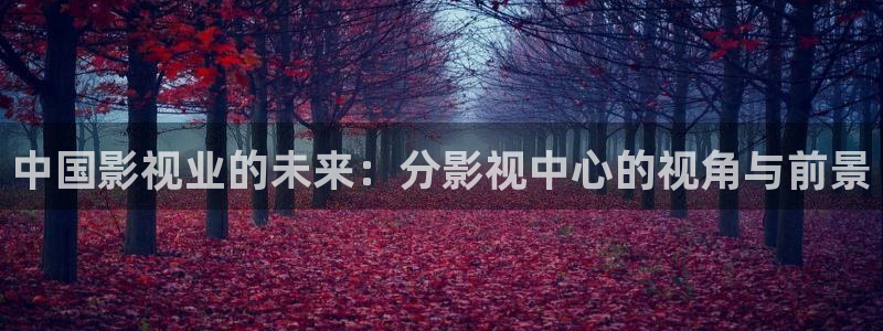 奇米在线播放视频：中国影视业的未来：分影视中心的视角与前景